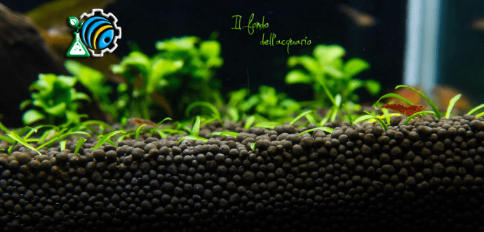 Fondo, acquario, soil, amazonia