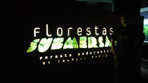 Florestas submersas