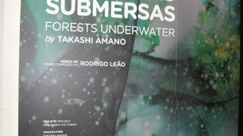 Florestas submersas