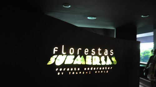 Florestas submersas