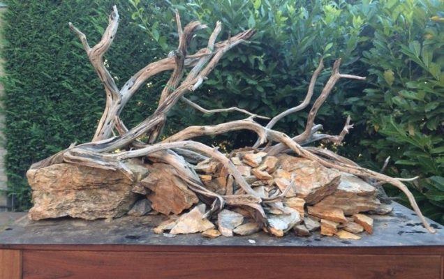 Usare legni e radici in acquario