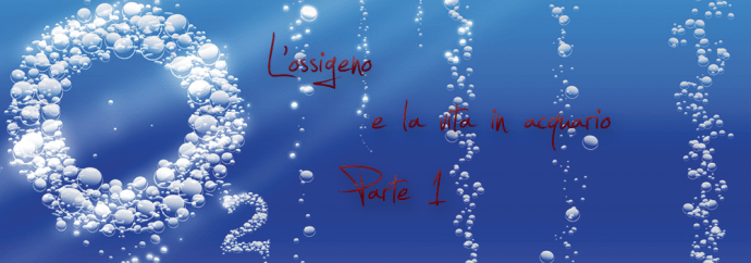 Ossigeno in acquario